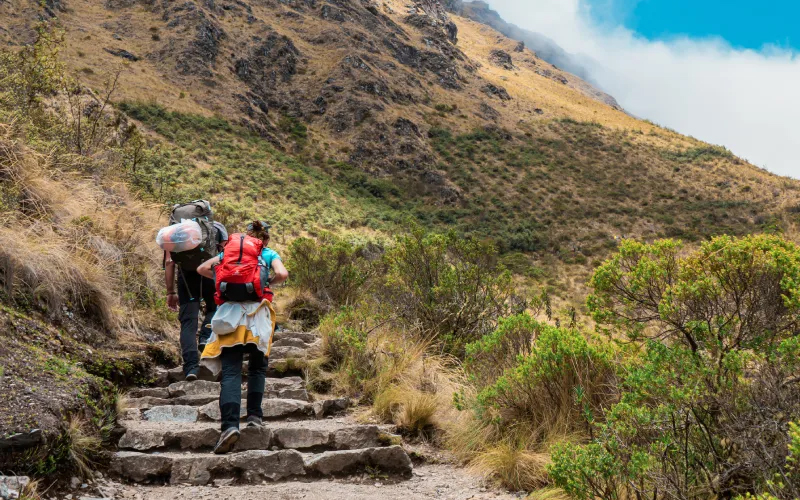 CAMINO-INCA-4D-1