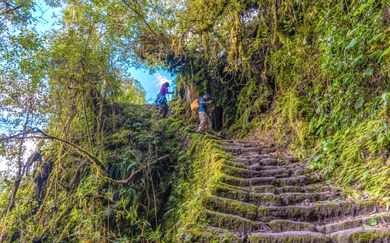 CAMINO-INCA-4D-2