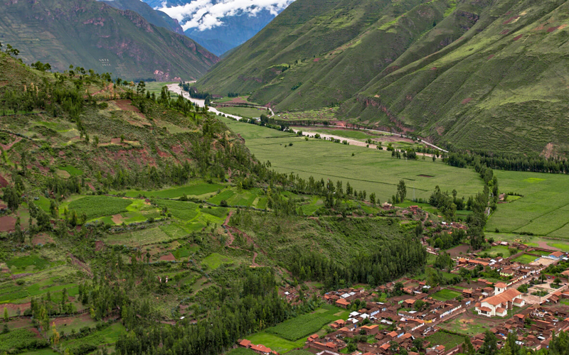 mapi-4d-1